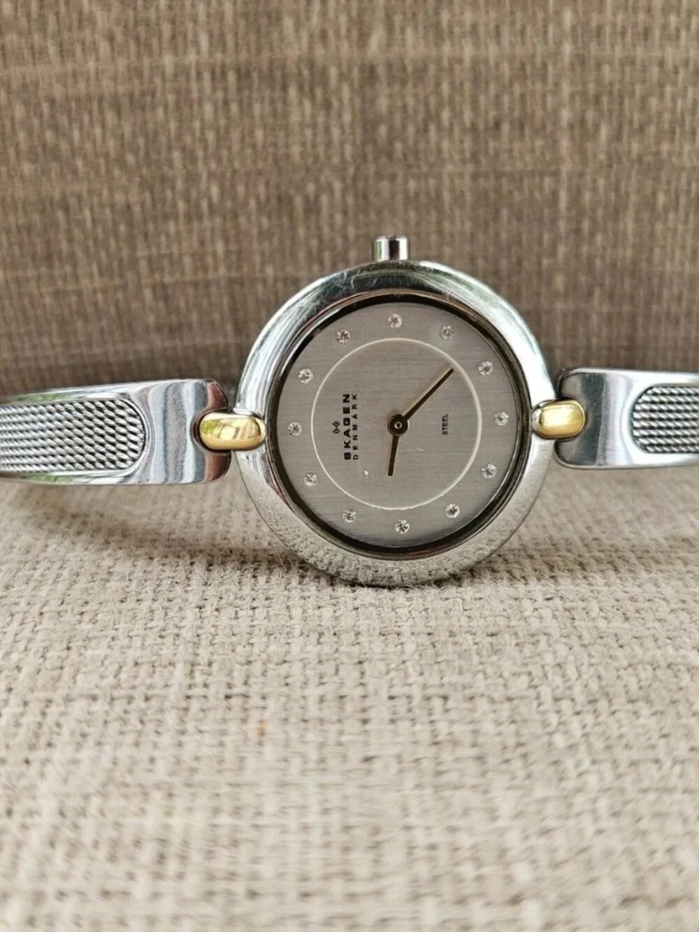 Skagen Denmark Ladies Wristwatch Silver Tone Gold Tone Accent Analog Wrist Watch